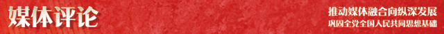 媒体评论2