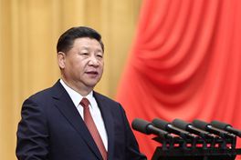 习近平系列重要讲话