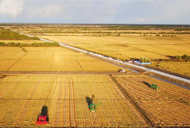 黑龙江：黑土地上书写“春天的答卷”