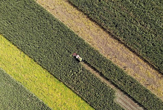 吉林：爬坡过坎促振兴