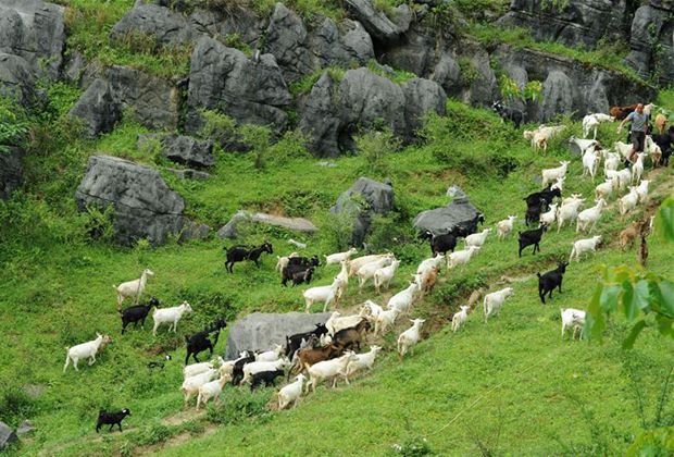 贵州：决战脱贫攻坚 奋力后发赶超