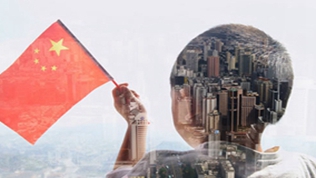 参加民盟、致公党、无党派人士、侨联界委员联组会