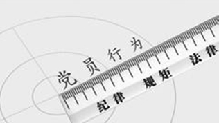 参加重庆代表团审议