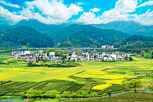 参加江西代表团审议