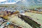 阔步迈进西藏发展的新时代