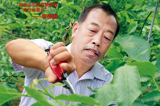 “太行山愚公”李保国