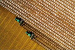 新疆是个好地方