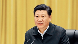 在深入推动长江经济带发展座谈会上的讲话