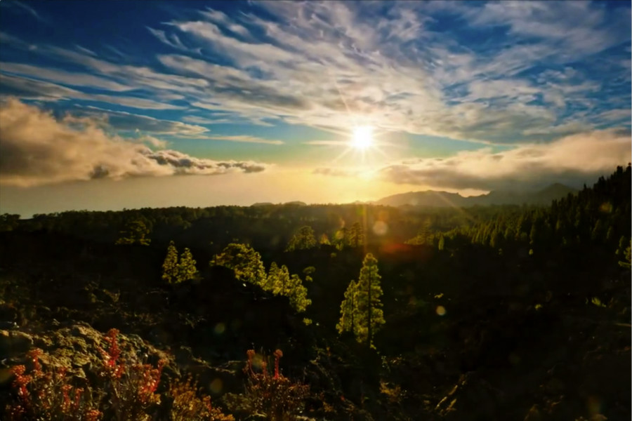 第二集：众行致远