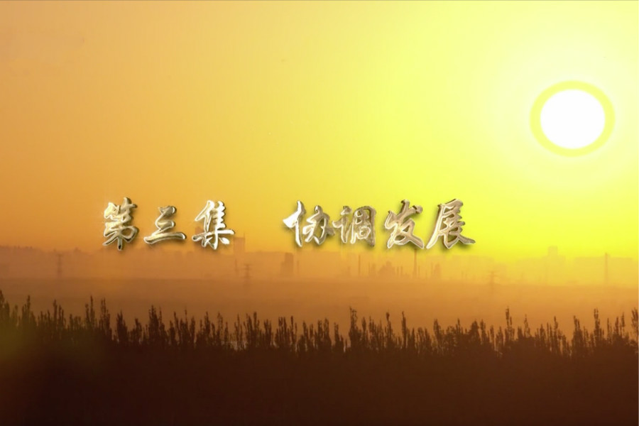 第三集：协调发展