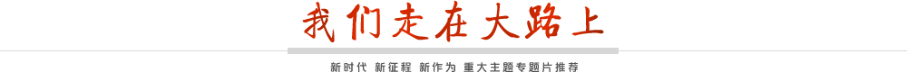 我们走在大路上pc