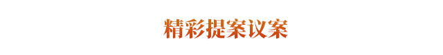 精彩提案议案2