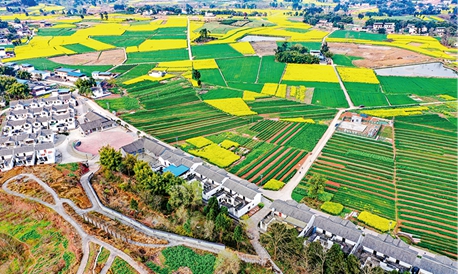 克服新冠肺炎疫情影响 全力啃下脱贫攻坚硬骨头