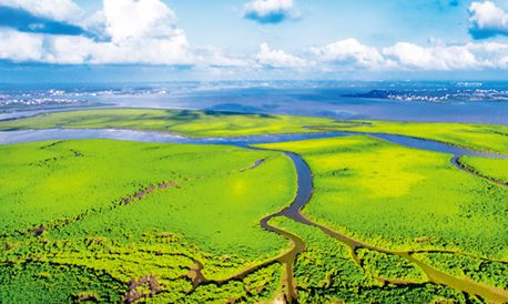 大疫面前人心明媚温暖