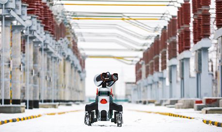 中国经济运行呈现十大亮点