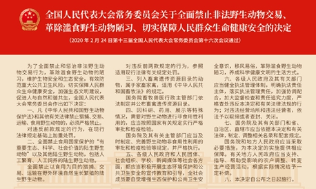 为赢得疫情防控胜利提供法治保障和服务