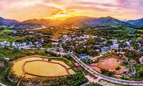 深刻认识坚持和加强党的领导的历史逻辑