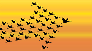 弹孔墙背后的历史，让我们更加珍惜当下的幸福