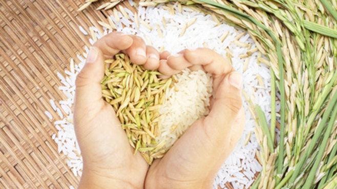 《当代广西》：杜绝&ldquo;舌尖上的