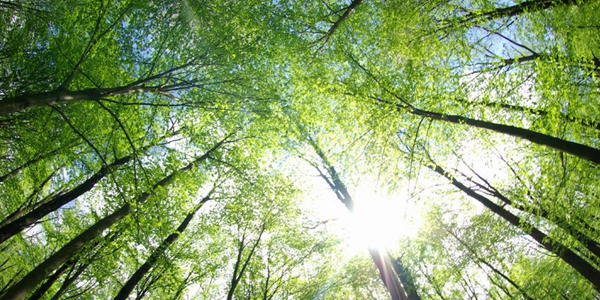 广西阳朔：羊角山下 龙凤呈祥