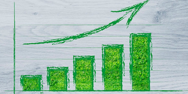 湖北郧阳：秦巴山深处辟出绿富之路