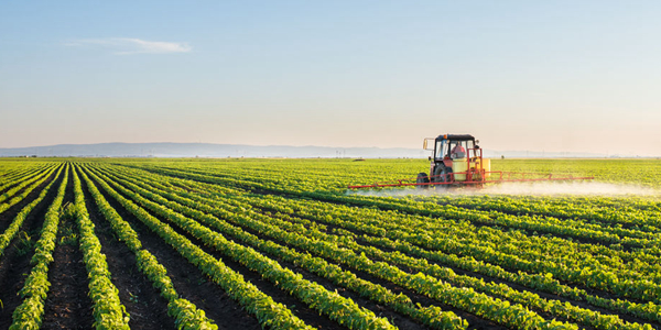 互利村的互利致富路