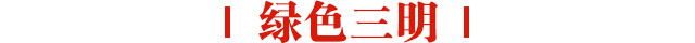绿色三明手机