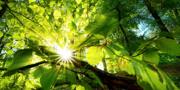 一溪清水润富一方百姓