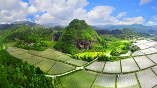 &ldquo;南方周口店&rdquo;如何得以幸存