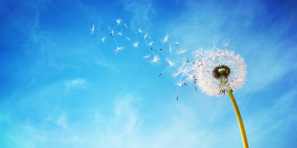 发“牛财”让“烂泥沟”大变样