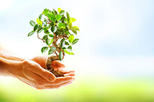 空心村变身产业村