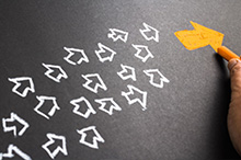 北京新发地市场探访记