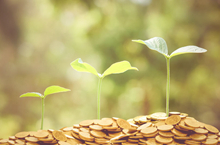 延伸产业链 群众稳增收