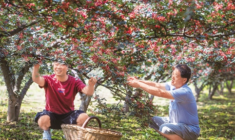 人类减贫史上的伟大奇迹