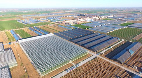 两会访谈丨人大代表耿遵珠：&ldquo;棚二代&rdquo;品牌更响了