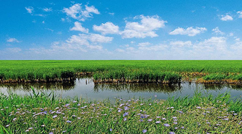 人大代表李宽端：&ldquo;哪儿环境好，鸟儿最知道&rdquo;