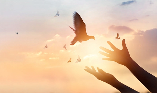 吴建永：传承大别山精神 谱写时代新篇章