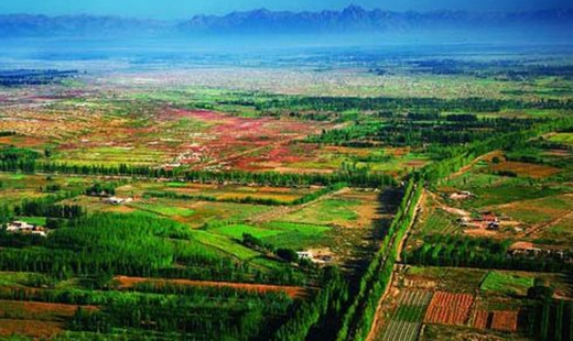 李静 张兴宇：以乡风文明建设助推乡村振兴