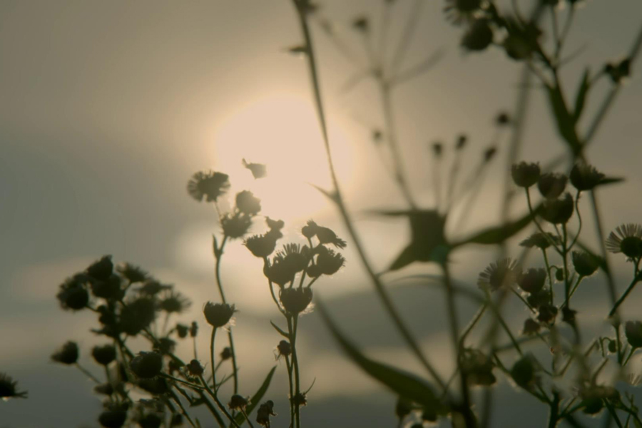 第十九集 野火春风