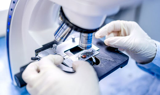 新华网：以信心勇气担当共建美好世界