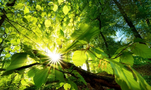 李捷：沿着共同富裕的康庄大道开拓前进