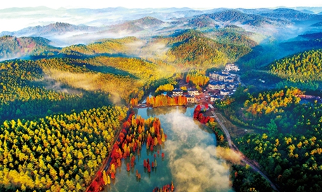 扎实推动高质量发展建设共同富裕示范区