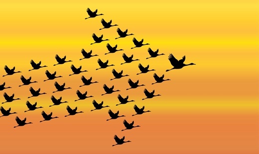 张伟鹏：推动中国同联合国合作迈向新台阶