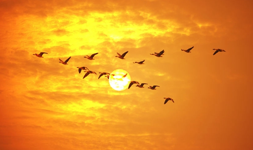 光明日报：传统文化创造性转化创新性发展