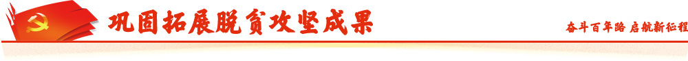 巩固拓展脱贫攻坚成果