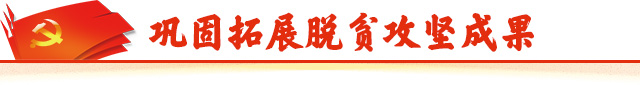 巩固拓展脱贫攻坚成果手机