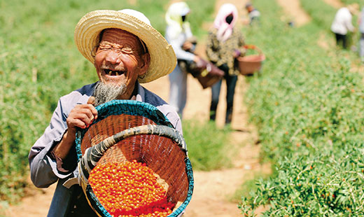 光明日报：坚持对外开放 始终做全球发展的贡献者