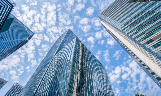 黄泰岩：我国经济社会发展必须遵循的原则