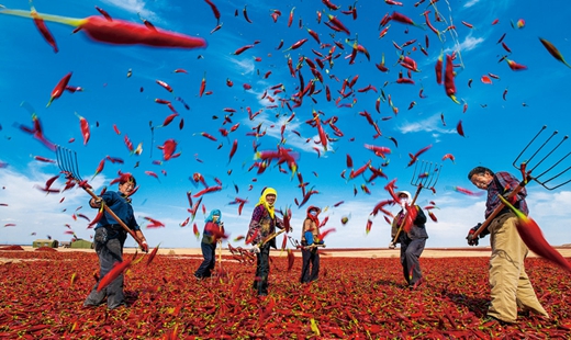 程世勇：扎实推动城乡共同富裕