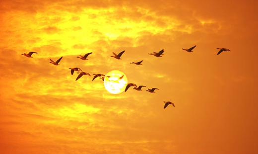 光明日报：不变的本色 力量的源泉